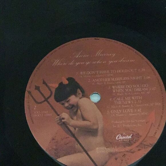 Album Ann Murray where do you go when you dream ￼￼ - Picture 8 of 8